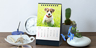 ハガキサイズの省スペース縦型タイプ 卓上リング綴じカレンダー（ハガキサイズ / 8枚タイプ）